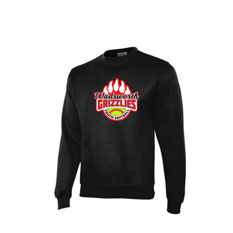 WYS CHAMPION CREW NECK