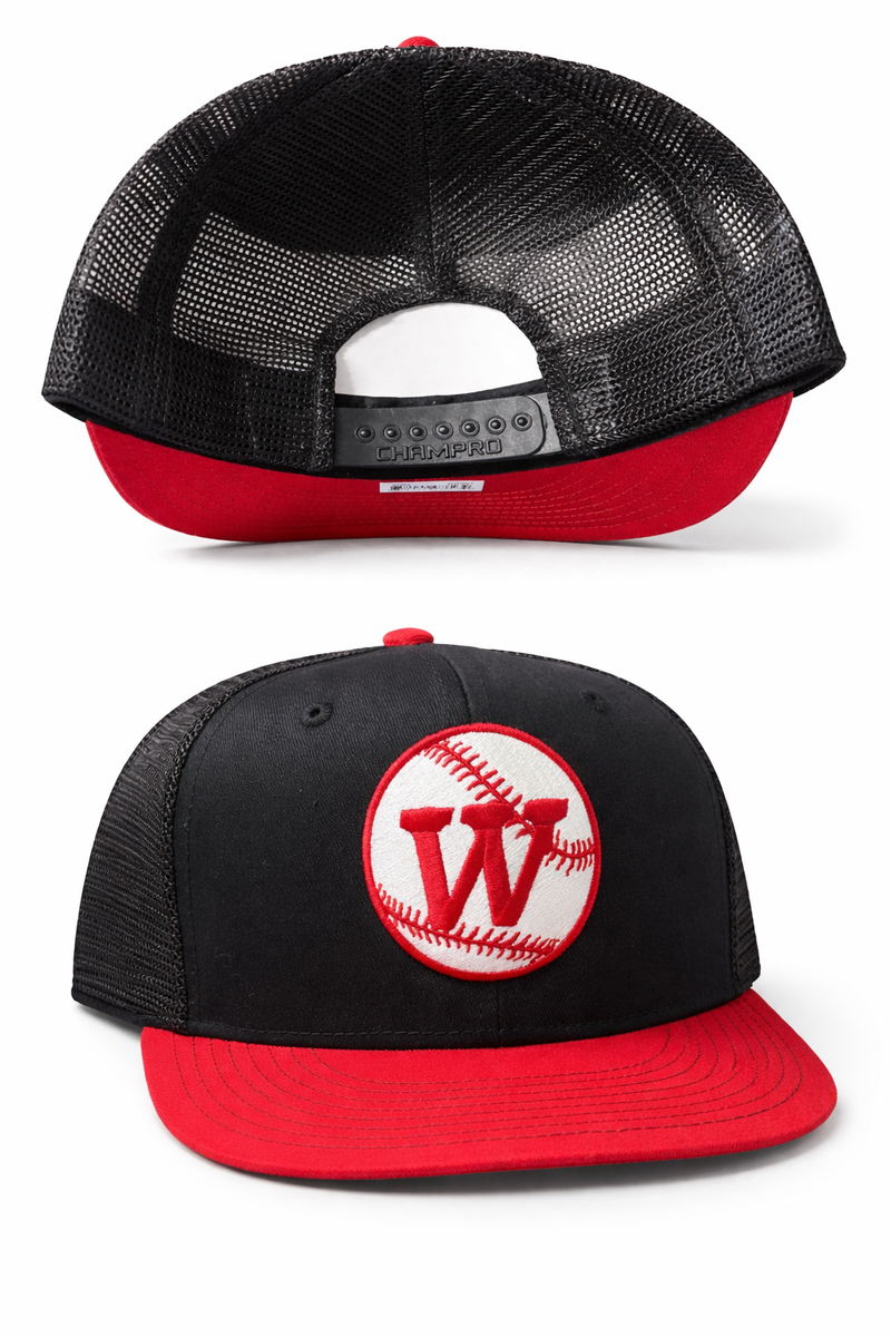 Wadsworth Baseball snap back