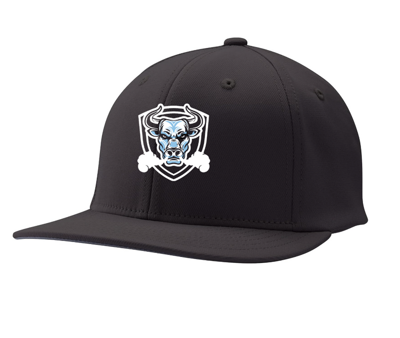 SNAP BACK Hat (BULL)